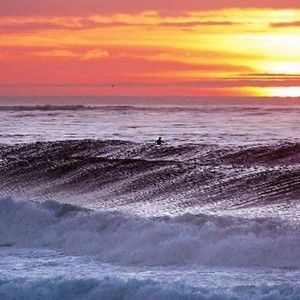Meet your Posher, Stephen